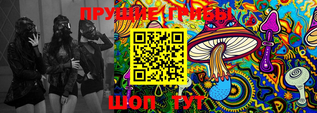 Галлюциногенные грибы GOLDEN TEACHER Гурьевск