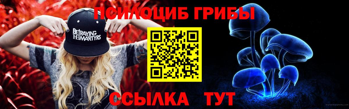 Псилоцибиновые грибы Psilocybe  Гурьевск  Галлюциногенные грибы мухоморы 