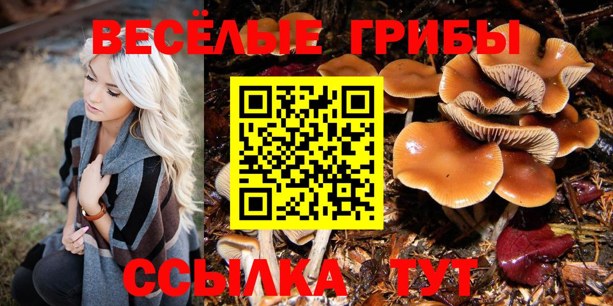 что такое   Псилоцибиновые грибы GOLDEN TEACHER  Вход с VPN  Галлюциногенные грибы мицелий  Гурьевск 